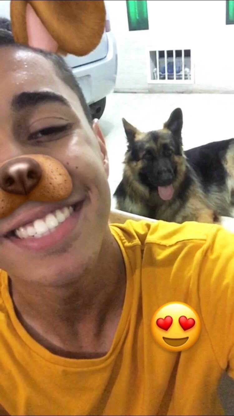 João Pedro Passareli - Lisboa - Dog Walking