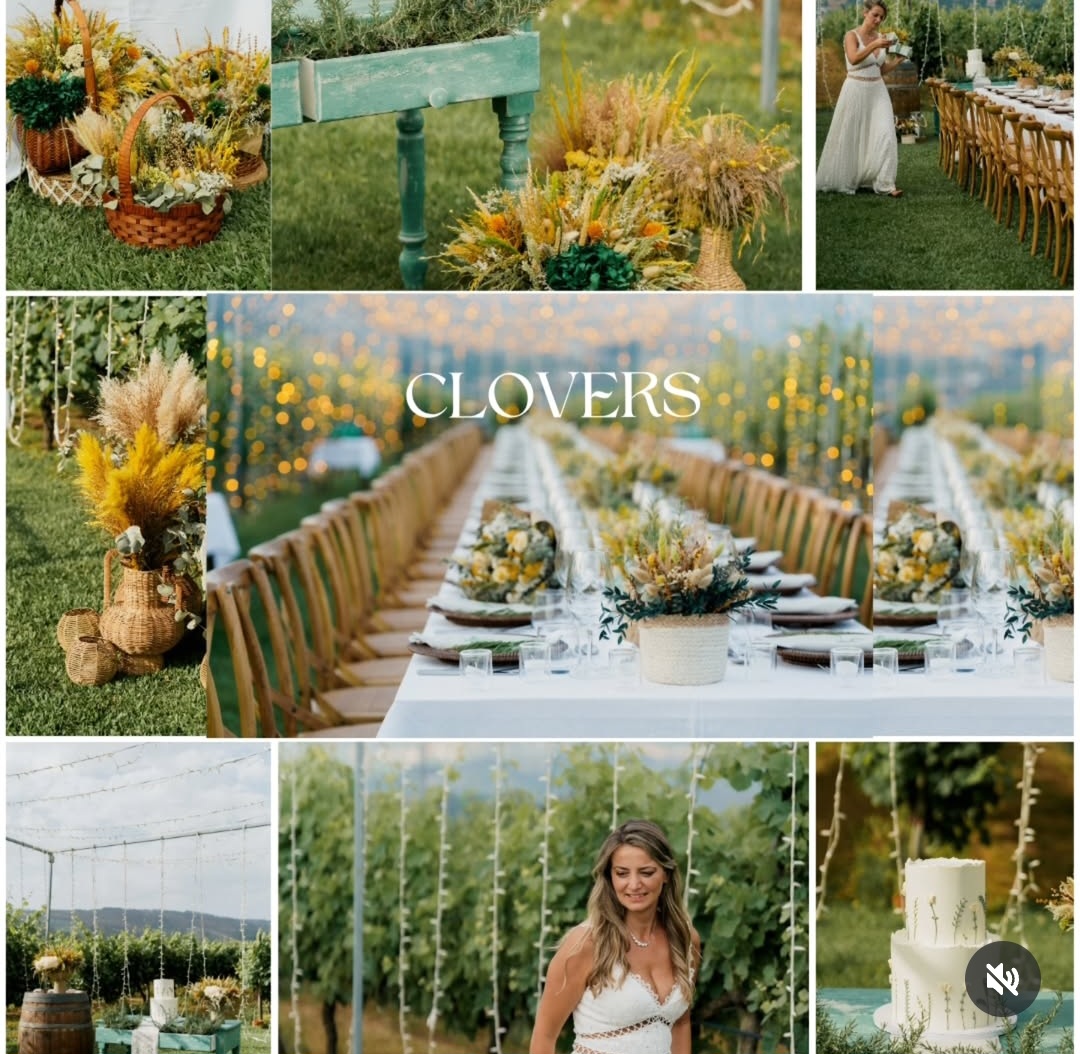 Clovers - Paredes - Decorações com Balões