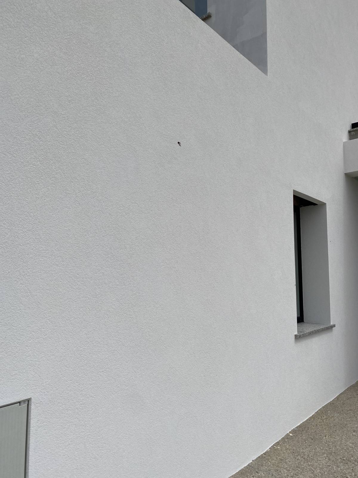 Ronald Cruz - Leiria - Dachbau oder -austausch