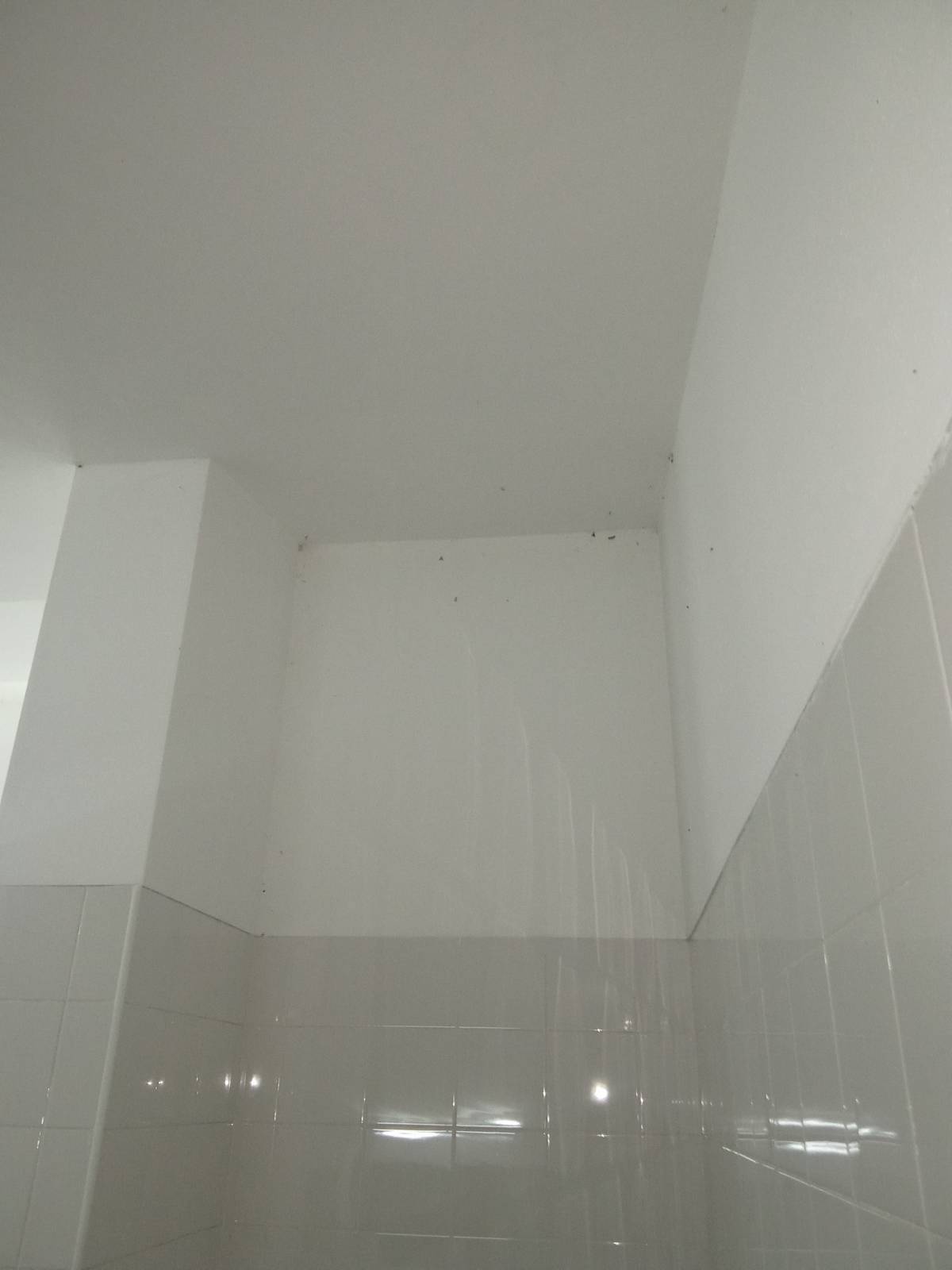 Cláudia Cristina - Lousada - Limpieza del hogar (recurrente)