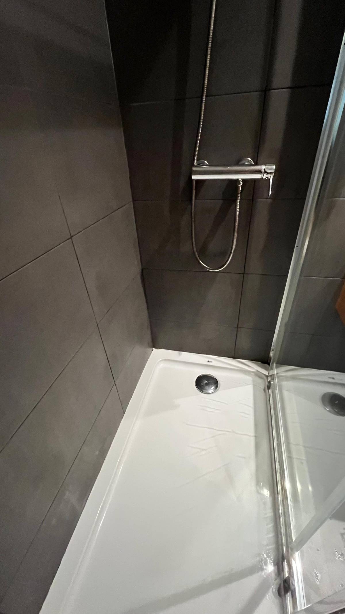 Wilimar Viloria - Valongo - Mold Inspection and Removal
