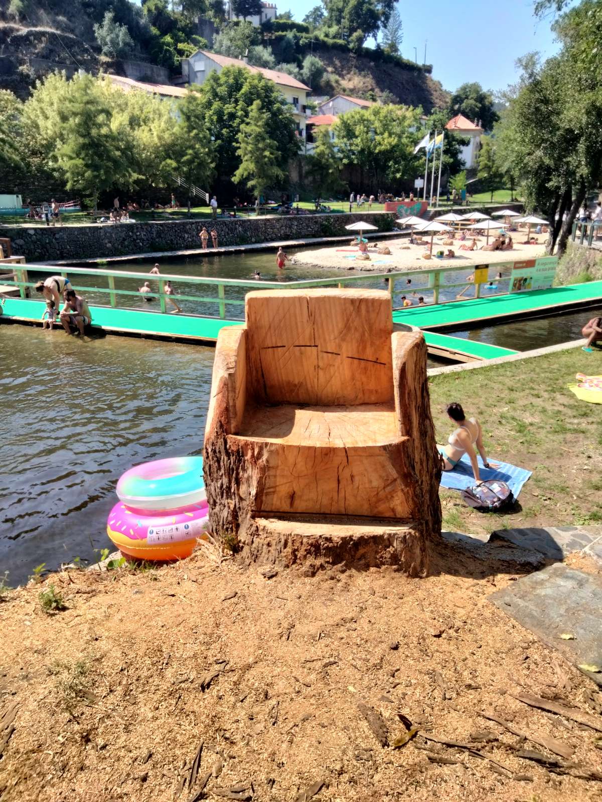 David Antunes - Lousã - Tree Stump Grinding and Removal