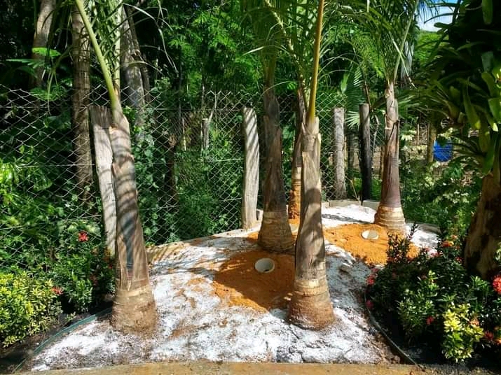 Paisagismo florentius - Braga - Outdoor Landscaping