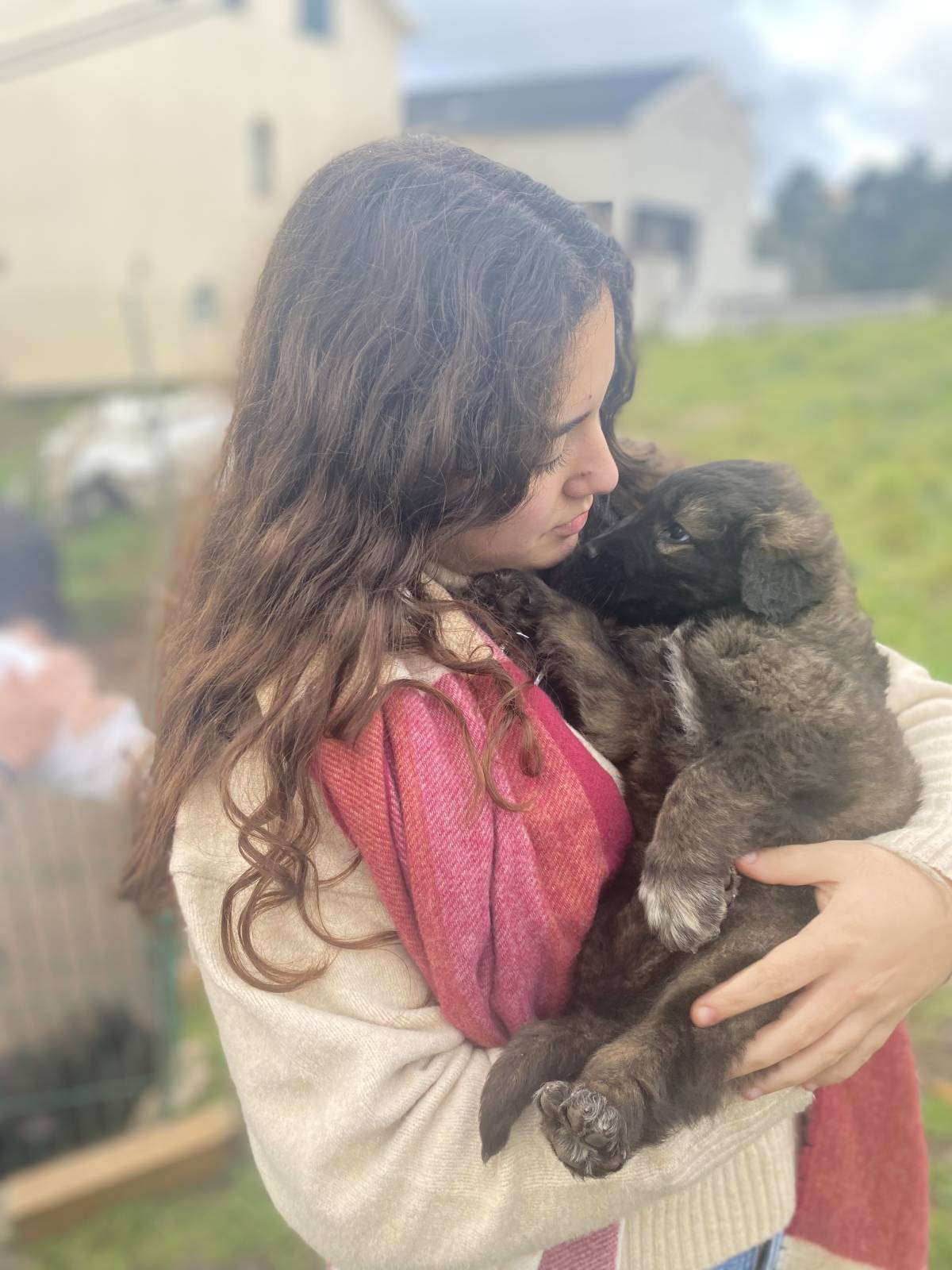 Cíntia Martins - Loures - Dog Walking