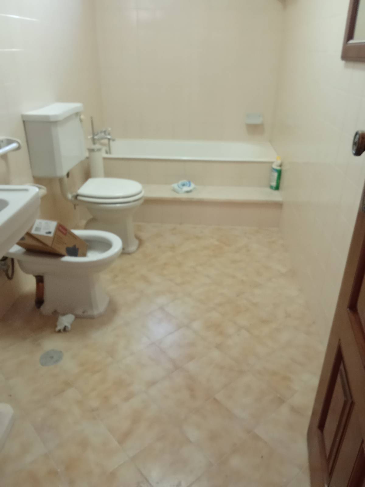 Cláudia Cristina - Lousada - Limpieza de primavera