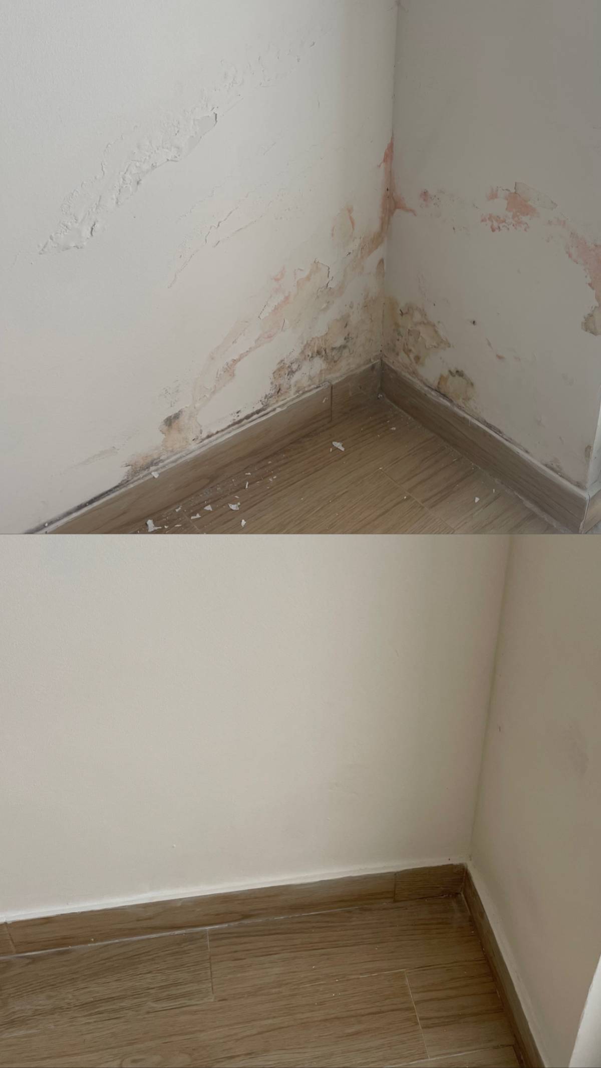 Dias Elec - Sesimbra - Construção de Parede Interior