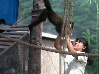 Pet Sitting -Walking e Explicações de espanhol - Odivelas - Tutoring - Other Academic Courses