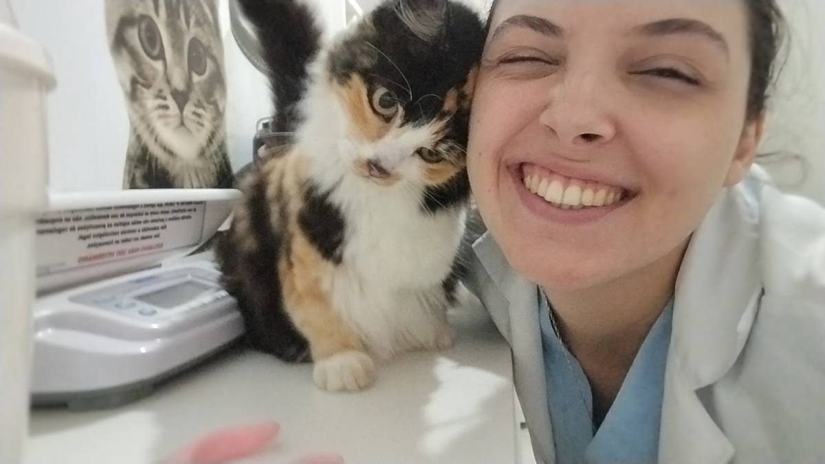 Maria Clara Medina - Figueira da Foz - Cat Sitting