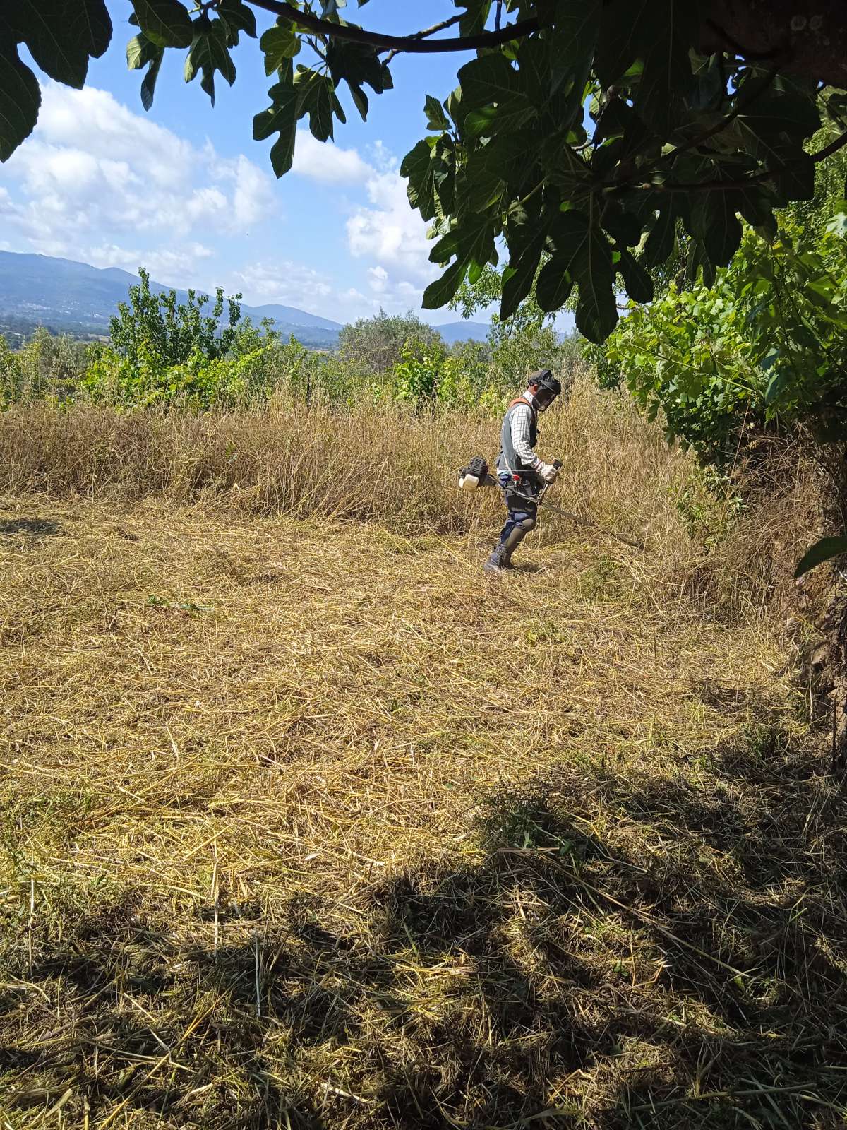 Serviços de limpezas Passa Aqui - Covilhã - Limpeza de Persianas