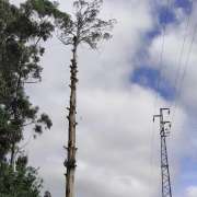 David Antunes - Lousã - Jardinagem e Relvados