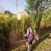 Serviços de limpezas Passa Aqui - Covilhã - Limpeza de Persianas