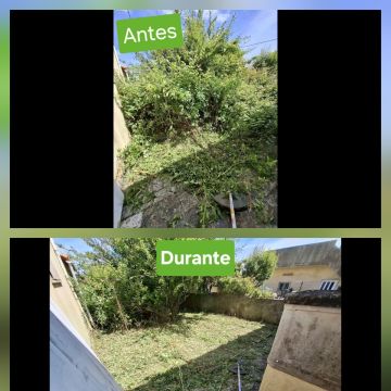 Hugo Maximiano - Sintra - Tree Trimming and Maintenance