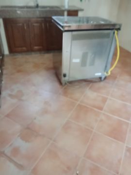 Cláudia Cristina - Lousada - Empresas de Desinfección