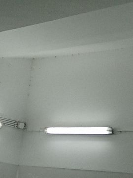 Cláudia Cristina - Lousada - Limpieza de ventanas