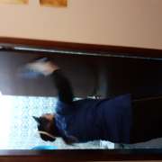 Serviços de limpezas Passa Aqui - Fundão - Interior Painting