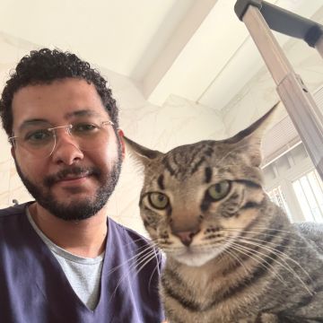 Solano - Matosinhos - Cuidado y peluquería para mascotas