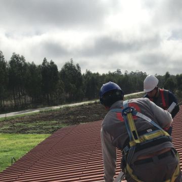 Felix Solutions - Portimão - Instalación de la puertas para mascotas