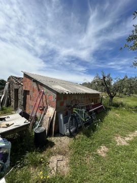Roof Installation or Replacement