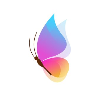 Borboleta - Guimarães - Deep or Spring Cleaning