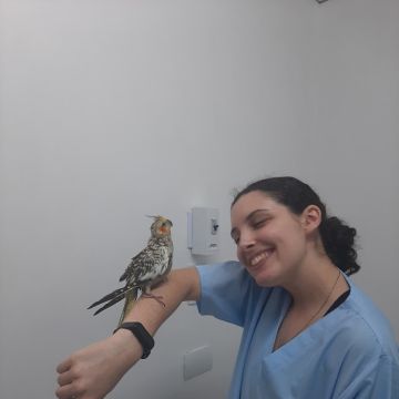 Maria Clara Medina - Figueira da Foz - Pet Sitting and Walking