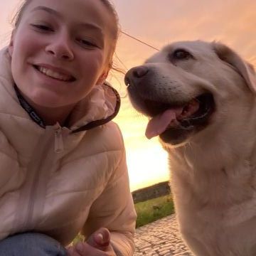 Pettycare - Ovar - Dog Daycare