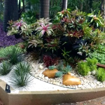 Paisagismo florentius - Braga - Tree Stump Grinding and Removal