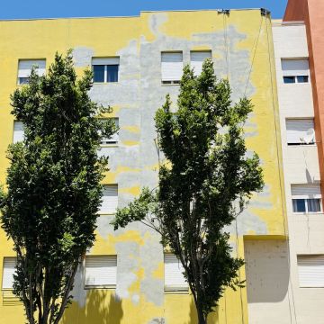 Vertical pro - Amadora - Pintura de interiores