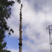 David Antunes - Lousã - Tree Trimming and Maintenance
