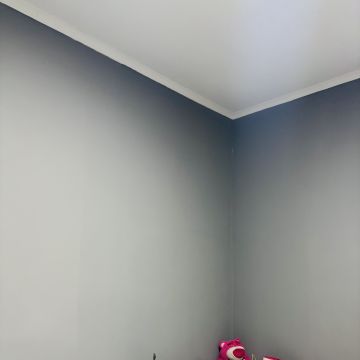 Vertical pro - Amadora - Dachreinigung