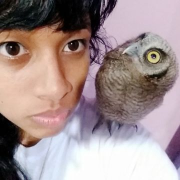 Pet Sitting -Walking e Explicações de espanhol - Odivelas - Biology Tutoring