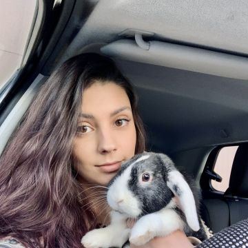 Rita Oliveira - Oeiras - Pet Care and Grooming