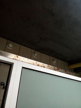 Cláudia Cristina - Lousada - Limpieza del hogar (recurrente)