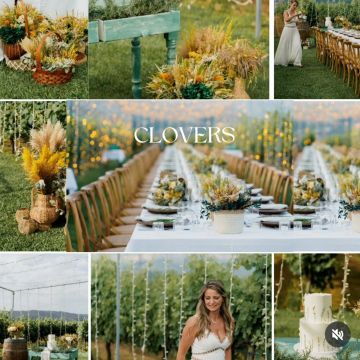 Clovers - Paredes - Decorações com Balões