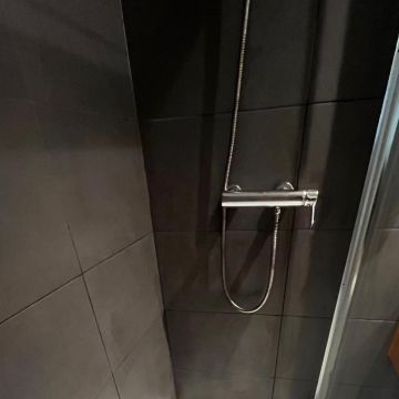 Wilimar Viloria - Valongo - Mold Inspection and Removal