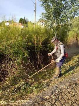 Serviços de limpezas Passa Aqui - Covilhã - Limpeza de Propriedade