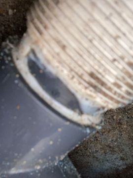 Valter - Rio Maior - Swimming Pool Cleaning or Maintenance