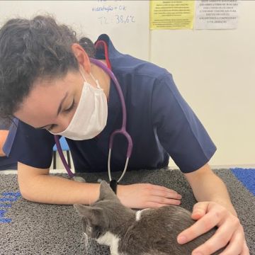 Maria Clara Medina - Figueira da Foz - Pet Sitting