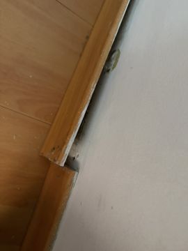 Handyman