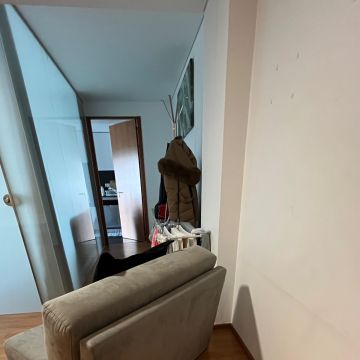 Wilimar Viloria - Valongo - Apartment Cleaning