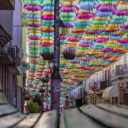 João Martins - Oliveira do Bairro - Family Portrait Photography