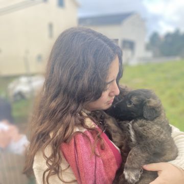 Cíntia Martins - Loures - Dog Walking