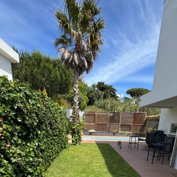 G&M Gardens LDA. - Cascais - Remoção de Arbustos