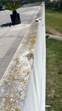 Spezialisten für Betoninstandsetzung - Haus