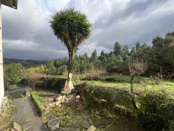 Podador de Árvores