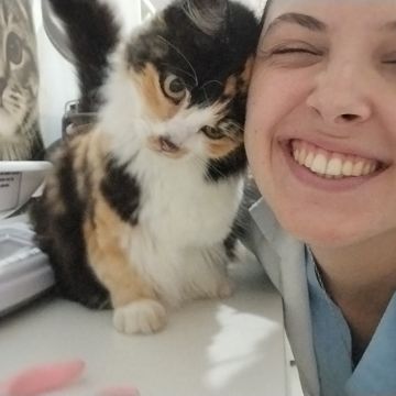 Maria Clara Medina - Figueira da Foz - Cat Sitting