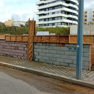 Gomes - Figueira da Foz - Baumpflege