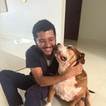 Solano - Matosinhos - Veterinario