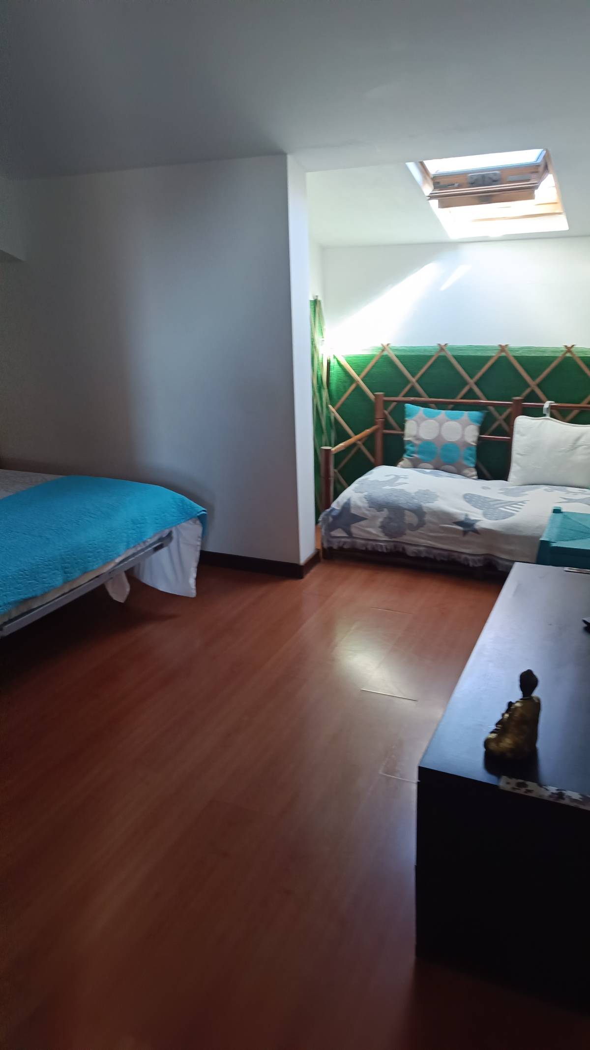 Priscila Santos - Anadia - Property Cleanup