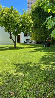 Edmilson - Loures - Shrub Removal