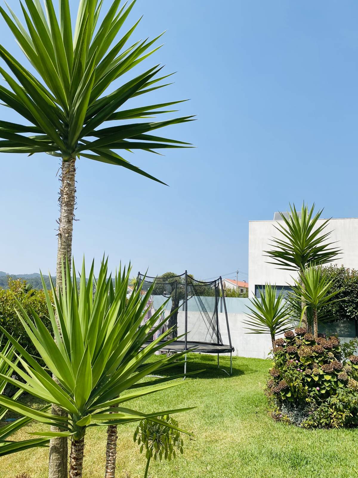 Eduardo Soluções - Braga - Montaje de cunas
